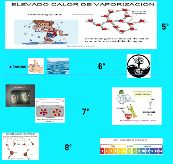 Creación propia