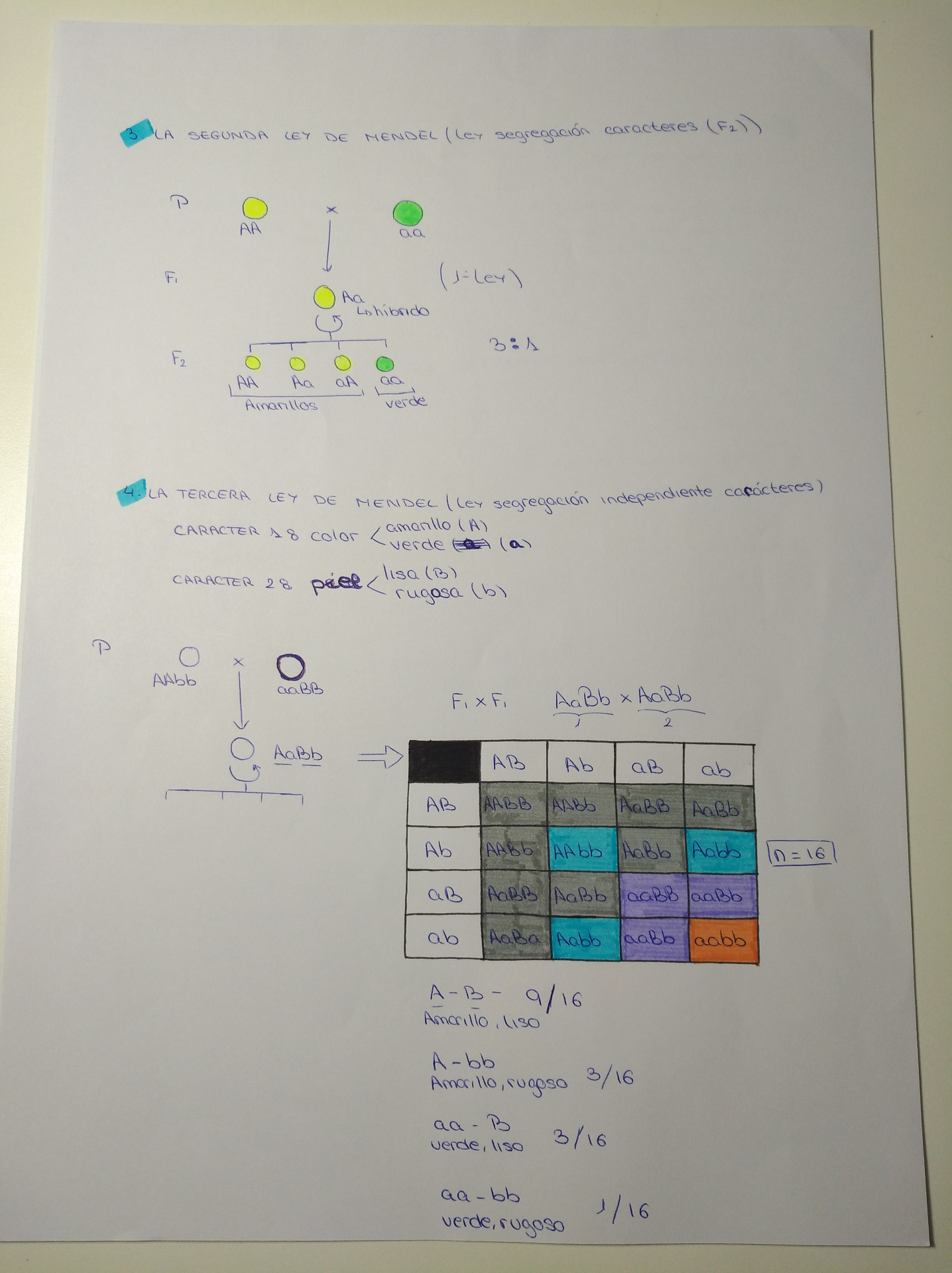 Creación propia