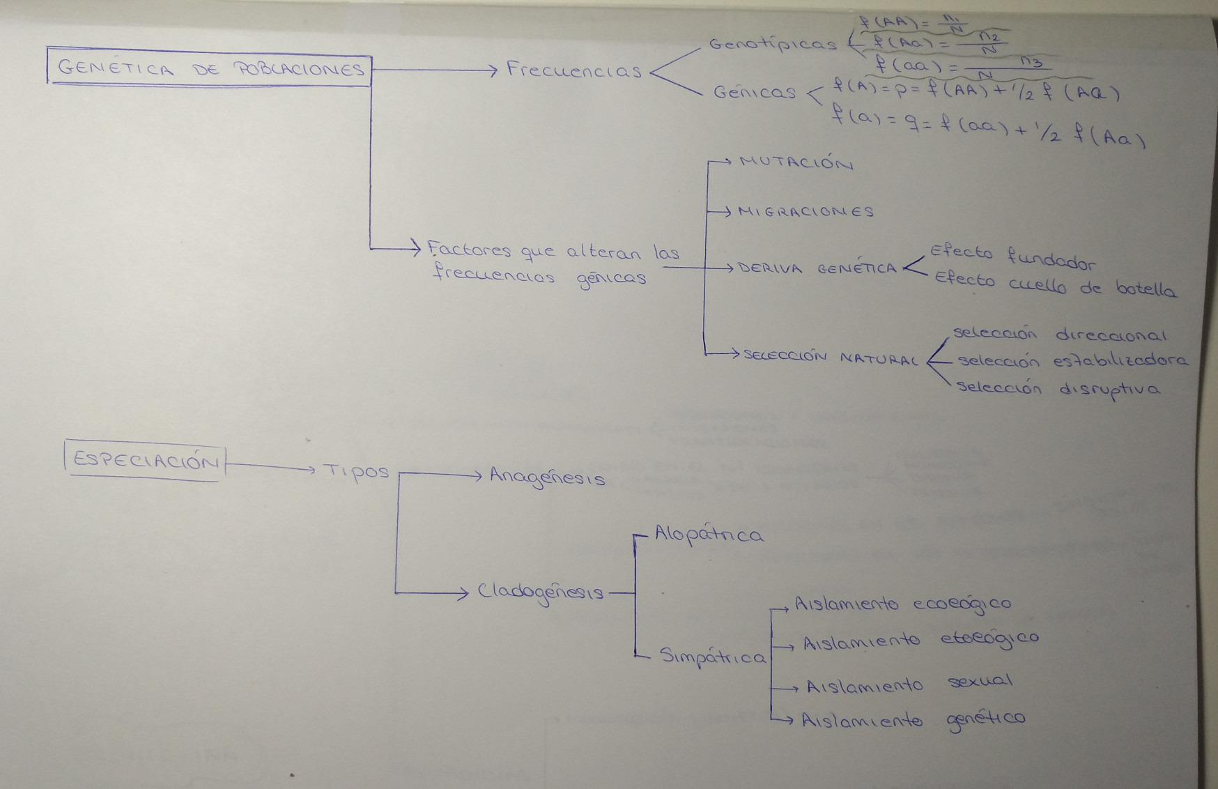 Creación propia