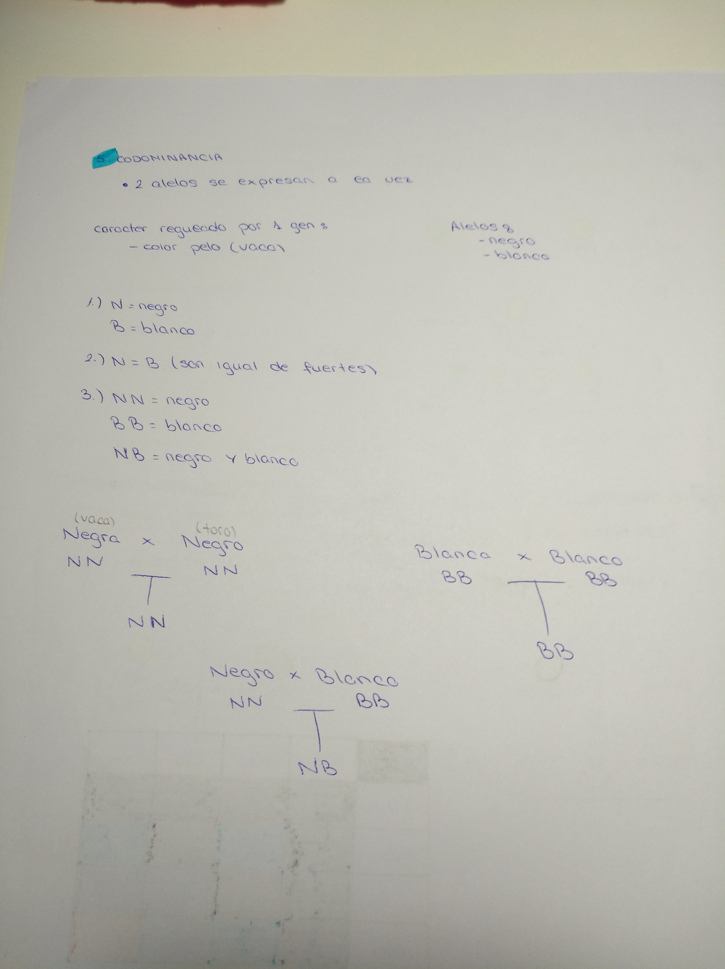 Creación propia